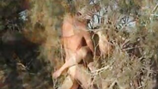බස් එකේ