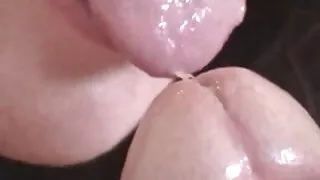පිරිමින් විසින් මෙහෙකාරිය නම් se
