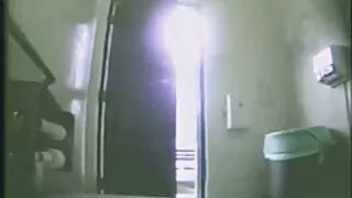 අහිමි කුකුළා සහ රෝඩ් පූස්